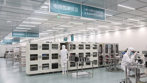 张家口的风，点亮北京的灯——海归青年在绿色能源浪潮中显身手